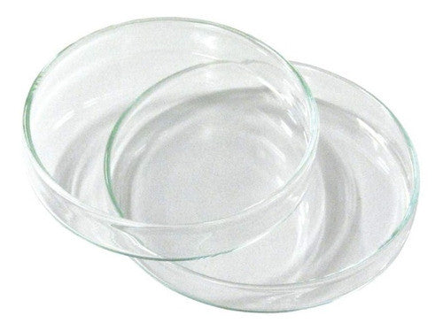 Capsula de Petric de vidrio 60x15 mm.