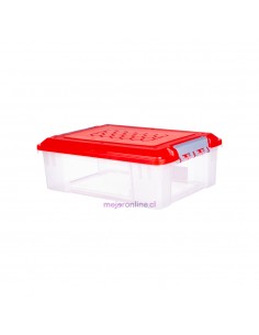 Caja Organizadora...