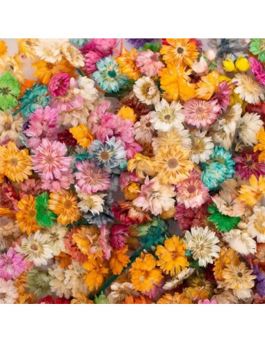 9 Manualidades con flores secas para decoración - Flores a Secas