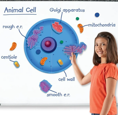 Celula Animal Gigante Magnética Para Pizarra