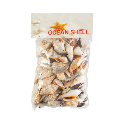 Conchitas De Mar Medianas 200 Grs