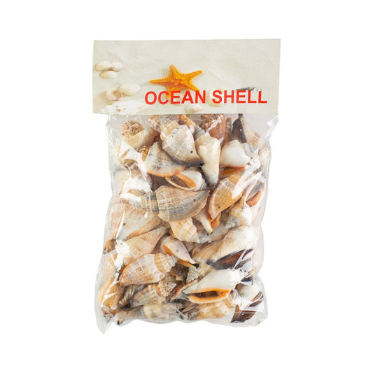 Conchitas De Mar Medianas 200 Grs