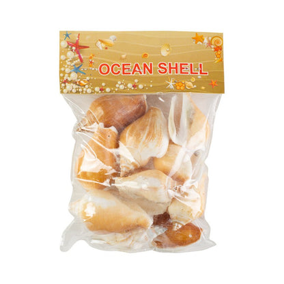 Conchitas De Mar Medianas F 200 Grs