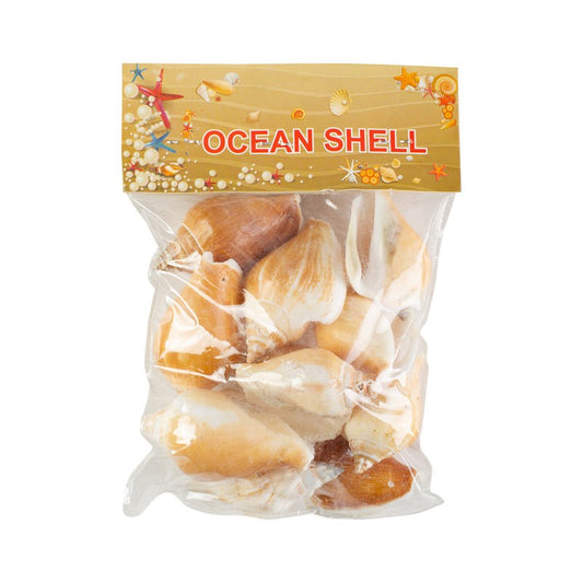 Conchitas De Mar Medianas F 200 Grs
