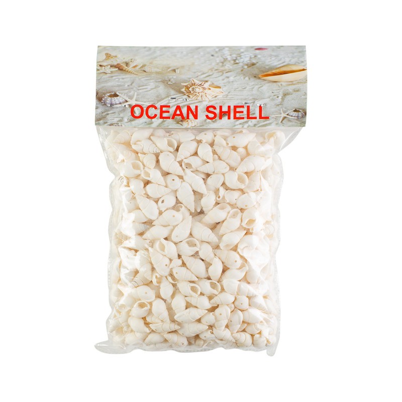 Conchitas De Mar Pequeñas A 200 Grs