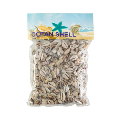 Conchitas De Mar Pequeñas C 200 Grs