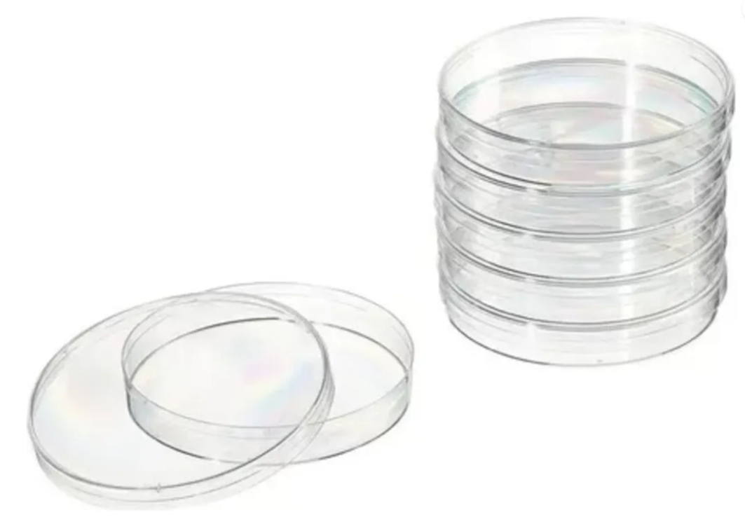 Placa De Petri De Vidrio 100x15 Mm. Pack 10 Un