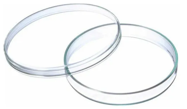 Placa De Petri De Vidrio 60x15 Mm. Pack 10 Un.