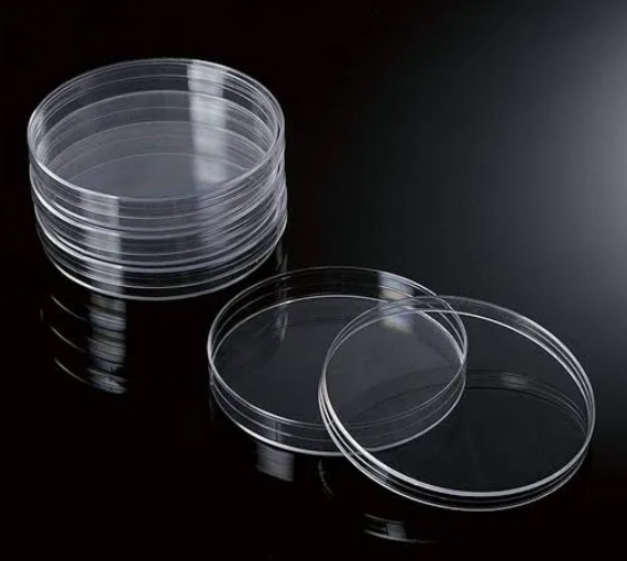 Placa Petri De Plástico 100x15 Mm Y Pipetas 3ml. Pack 20 Un.