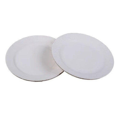 Plato Desechable Cartón N2 100 Un.
