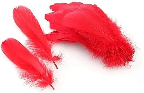Plumas 100g. por color