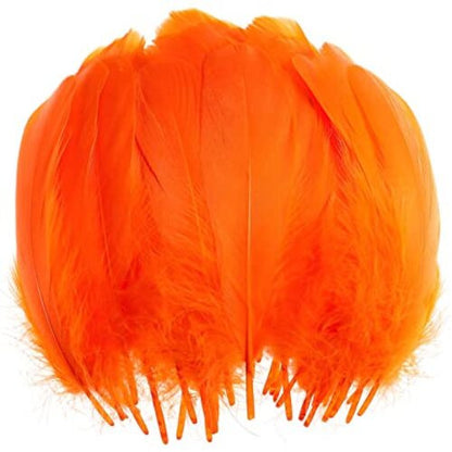 Plumas 100g. por color