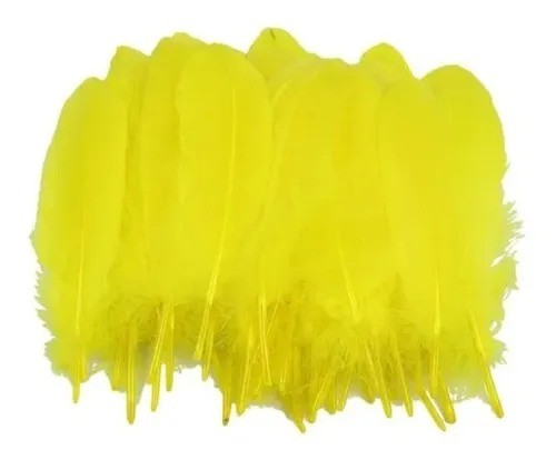 Plumas 100g. por color