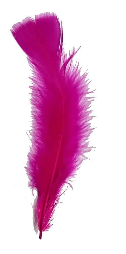 Plumas 100g. por color