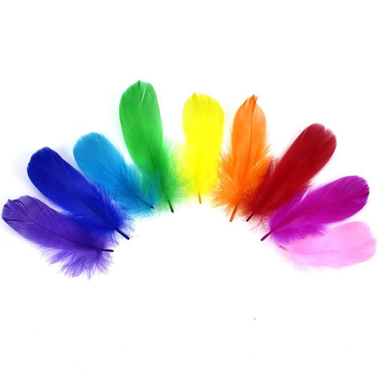 Plumas 12u por color