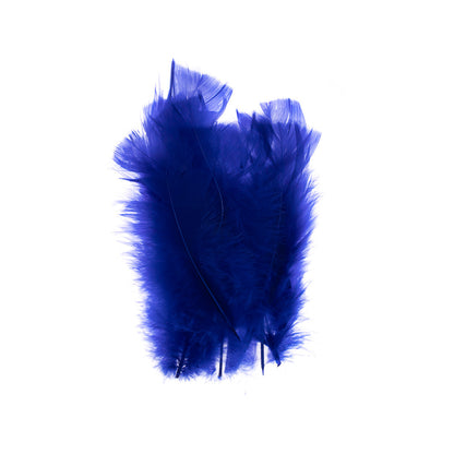 Plumas De Color A Elección / 100 Unidades