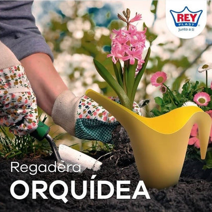 Regadera orquidea