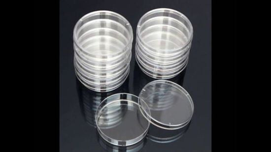 Capsula Petric plástico x 10 un.