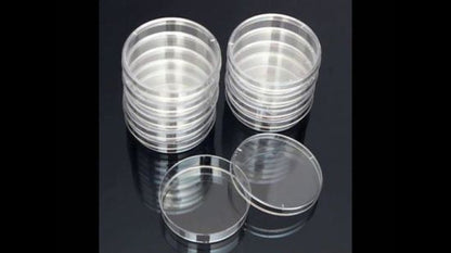 Capsula Petric plástico x 10 un.